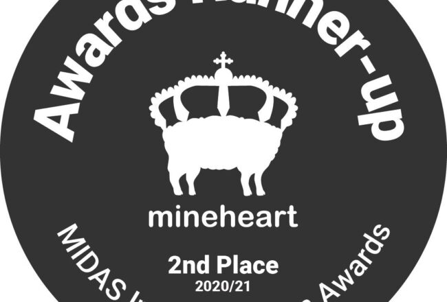 Runner Up In The Mineheart Interior Design Awards
