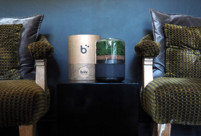 briiv the natural and sustainable air filter you need to know about